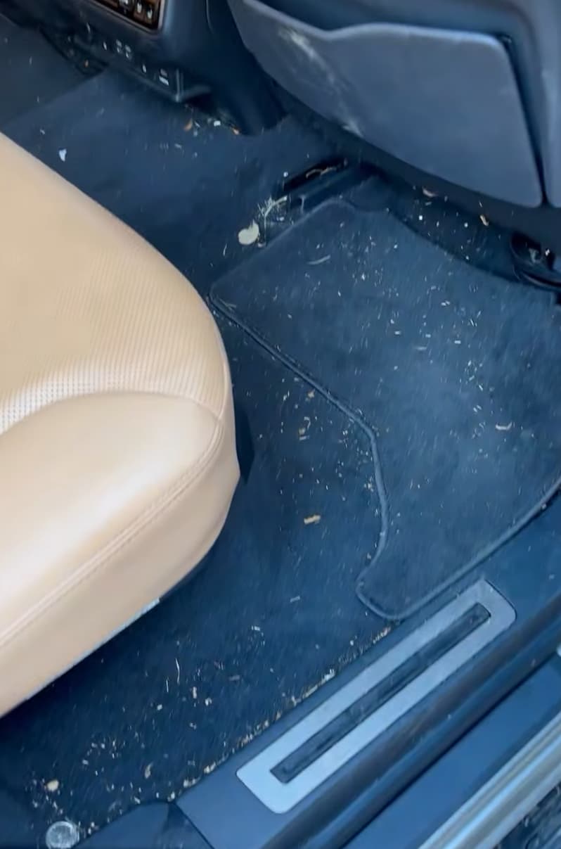 Interior detail — before